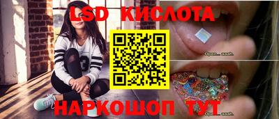 СК Рыбинск