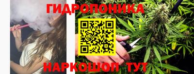 СК Рыбинск